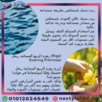 ايفامول برين اوميجا 3 شراب لدعم الذاكرة