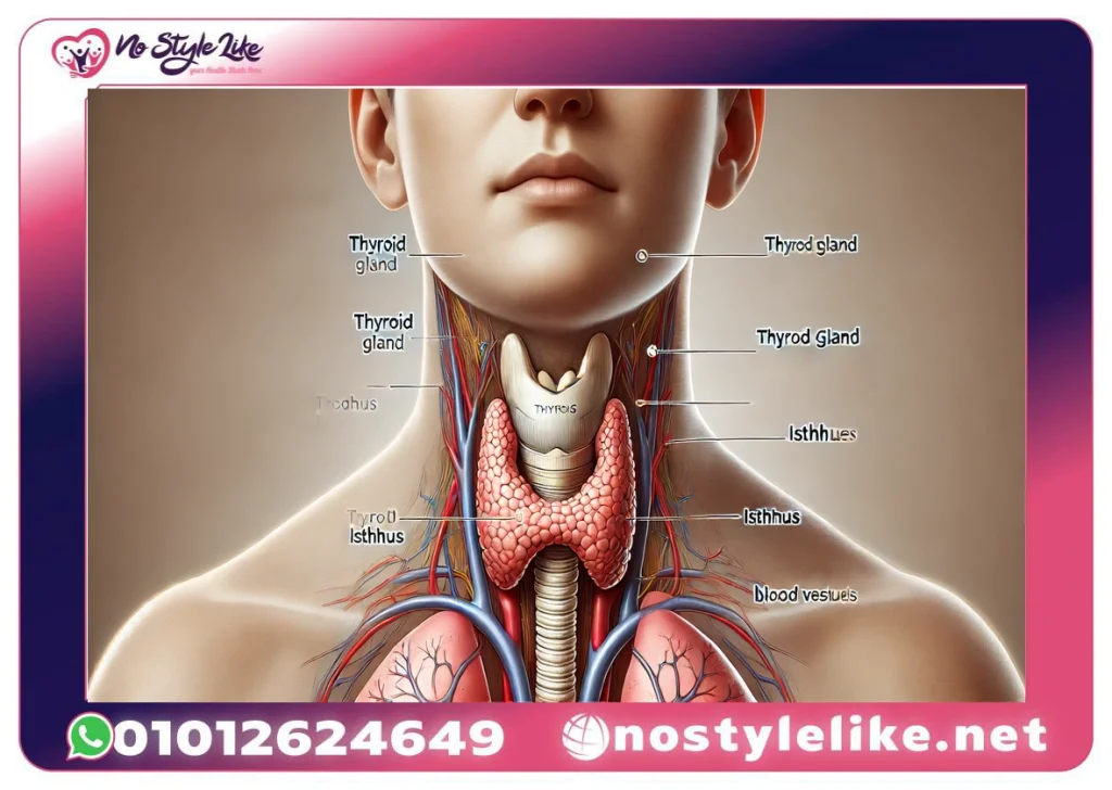 دواء الغدة الدرقية Euthyrox لعلاج قصور الغدة