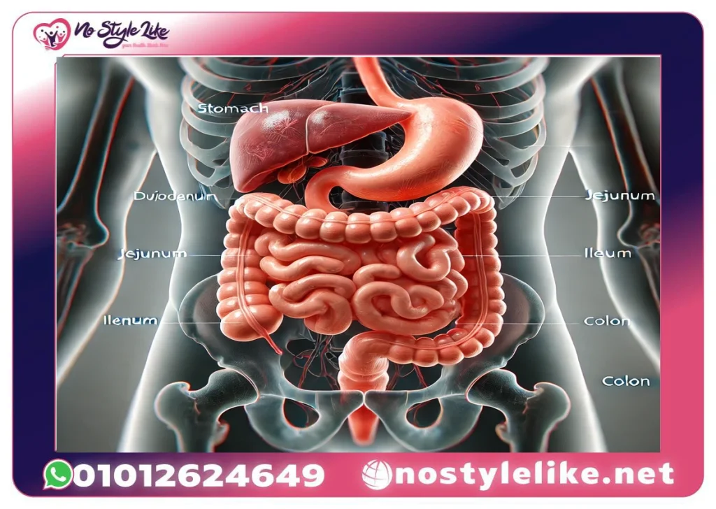 افضل حبوب لوقف الاسهال بسرعة