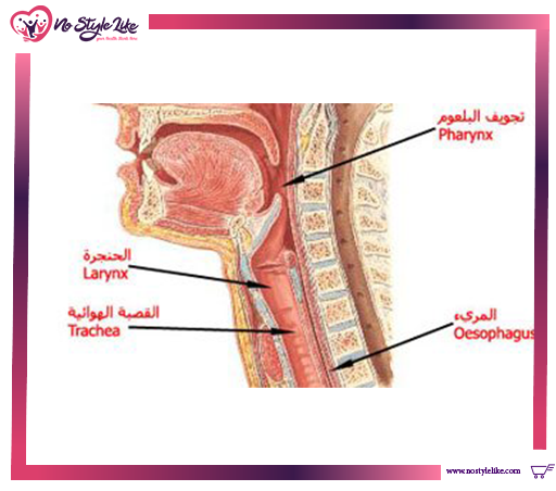 tyrozets lozenges من أجل تسكين آلام الحلق والقضاء على البكتريا