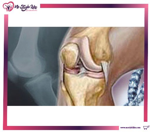 Nature Made Calcium مكمل الكالسيوم وفيتامين د3 لدعم صحة العظام