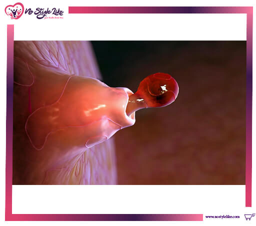 Women Fertility Boost WFB 180 Cap تعزيز الخصوبة لدى السيدات