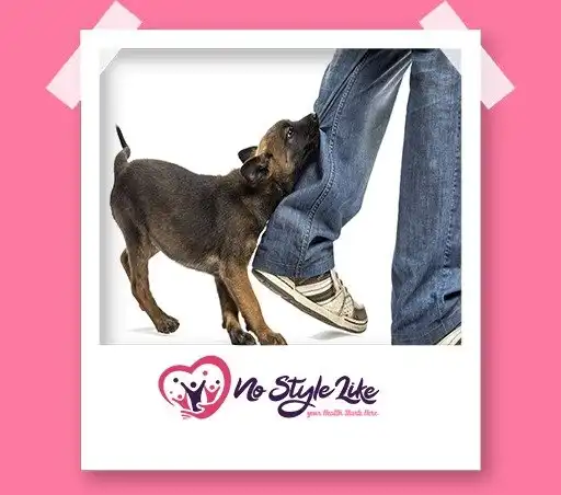 ما هو مرض داء الكلب أو السعار ، وكيفية العلاج