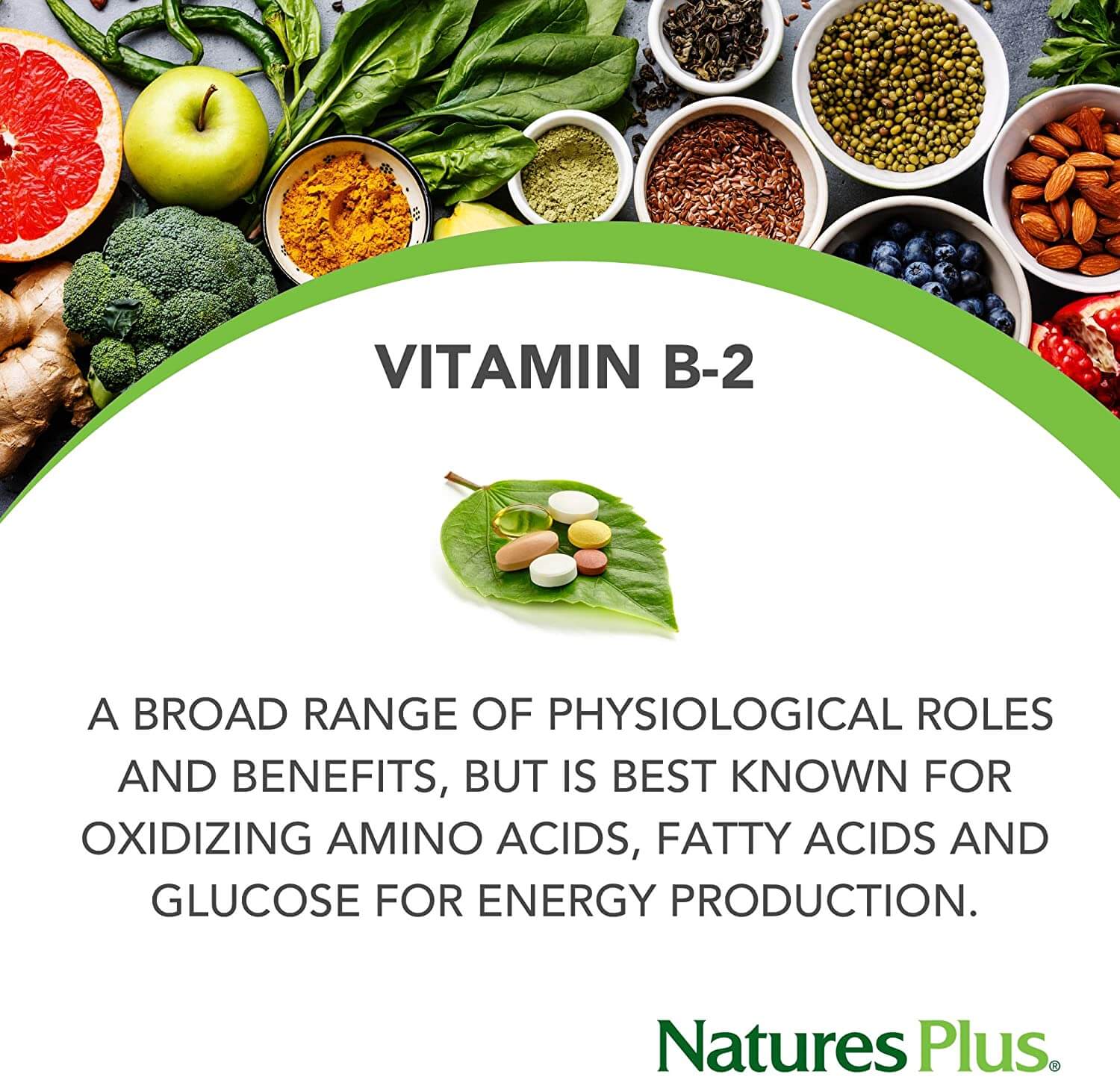 natures plus vitamin B2 250 mg