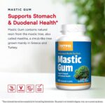 Jarrow Formulas Mastic Gum 1000 mg 60 Capsulas كبسولات المستكة تدعم صحة المعدة والإثنى عشر والفم