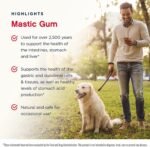 Jarrow Formulas Mastic Gum 1000 mg 60 Capsulas كبسولات المستكة تدعم صحة المعدة والإثنى عشر والفم