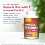 ⁦Jarrow Evening Primrose 1300 mg 60 Softgels مكمل غذائي لتعزيز صحة الجلد⁩ - الصورة ⁦7⁩