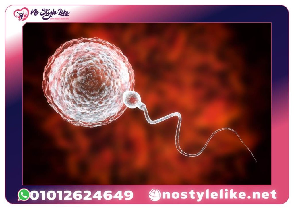 Fairhaven Inositol Myo + D-Chiro يدعم الخصوبة