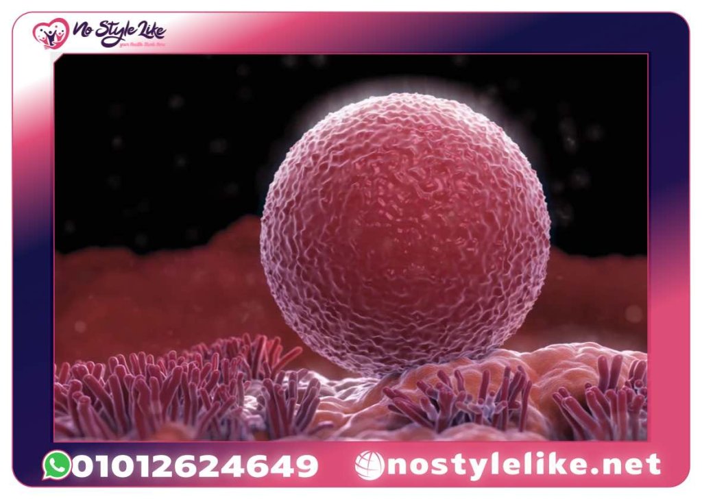 Fairhaven Health Inositol Myo + D-Chiro فيتامينات خصوبة طبيعية