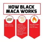 Force Factor Black Maca 1000 mg 60 Capsules مكمل غذائي لدعم صحة الرجال
