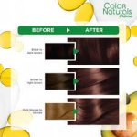 Garnier Color Naturals Hair Color Pure Chocolate Brown 6.7 غارنيه صبغه بنى شيكولاته نقى6.7