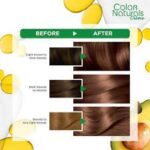 Garnier Color Naturals 7.7 Hazel Brown Haircolor غارنيه صبغه بنى غزالى7-7
