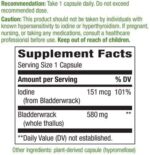Nature's Way Bladderwrack
