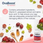 Fairhaven Health OvaBoost