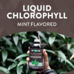 ⁦Nature's Way Chlorofresh With Mint, 16 Oz مركز الكلوروفيل السائل⁩ - الصورة ⁦3⁩