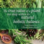 NATURE'S ANSWER Licorice