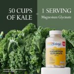 Solaray, High Absorption Magnesium Glycinate, 350mg, 275 Veg Capsules جلايسينات المغنيسيوم عالي الامتصاص