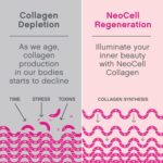 NEOCELL Super Collagen Peptides