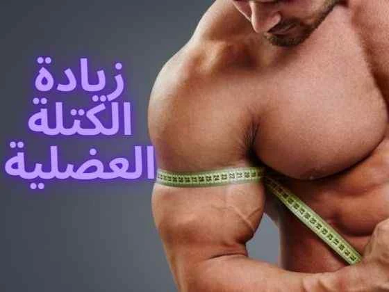 الكتلة العضلية