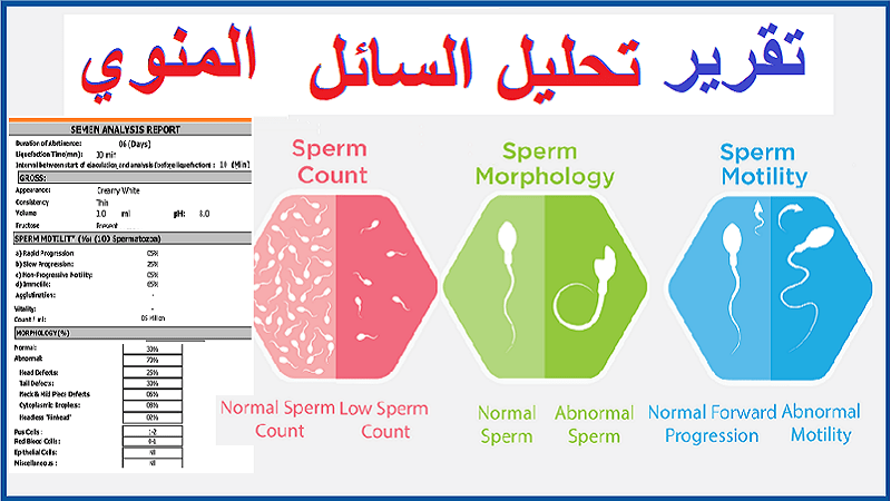 دليل إختبار السائل المنوي