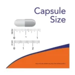 Now Acetyl L-Carnitine 500 mg 100 Veg Capsules اثتيل ال-كارنتين لدعم صحة الدماغ