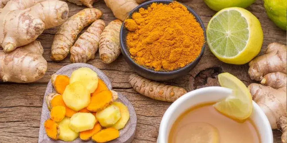 أعشاب موسعة للشعب الهوائية