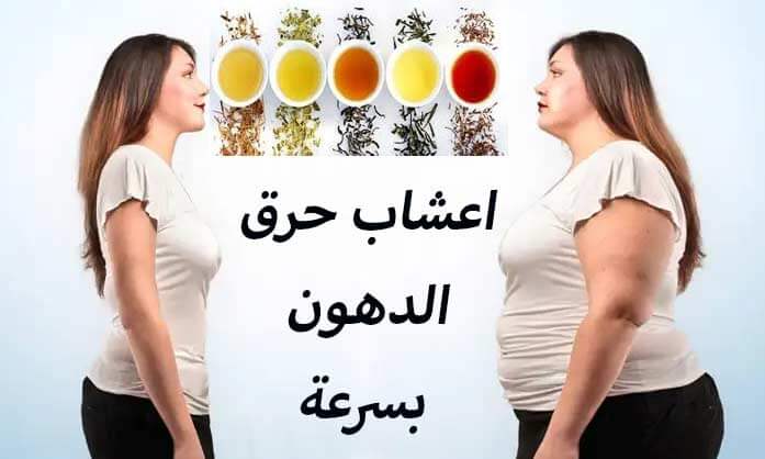 أعشاب طبيعية للتنحيف وحرق الدهون