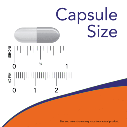NOW Apple Cider Vinegar 450 mg Capsule Size Reference