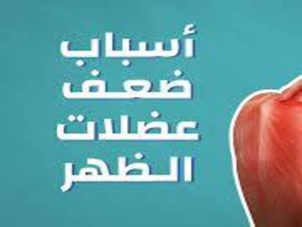 ضعف عضلات الظهر