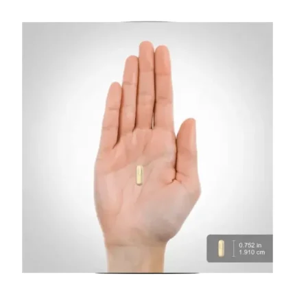 Piping Rock Tongkat Ali for Men 1600 mg 120 Capsules عكازة علي مكمل عشبي للرجال