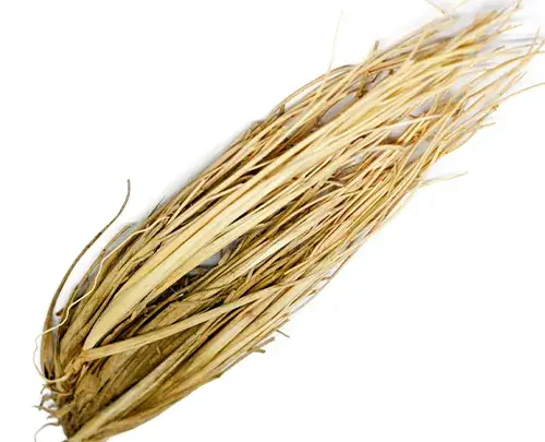 نبات حلفا بر