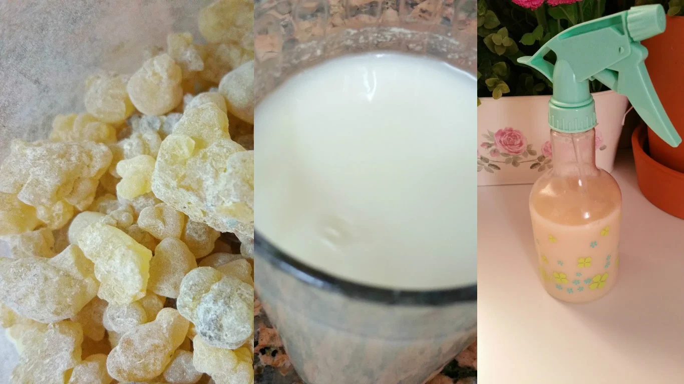 طريقة تحضير سيروم لبان الدكر في المنزل