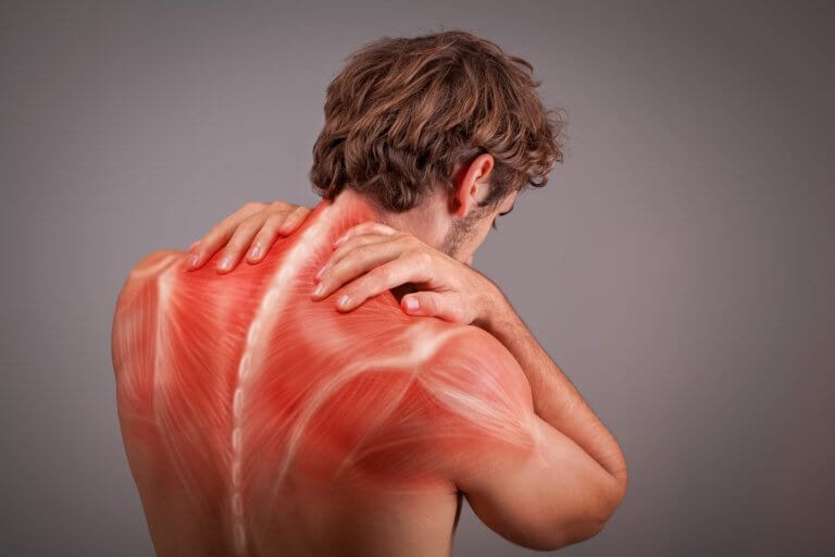 إنفوجرافيك يشرح ضعف العضلات وأسبابه الشائعة.