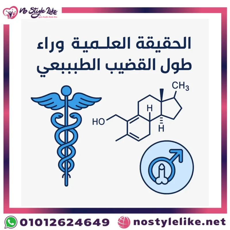 الحقيقة العلمية وراء طول القضيب الطبيعي_ بين القلق، الواقع، والحل العلمي الموثوق