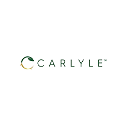 تسوق جميع منتجات Carlyle بافضل سعر | نو ستايل لايك