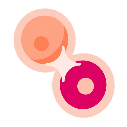 fertility-medications