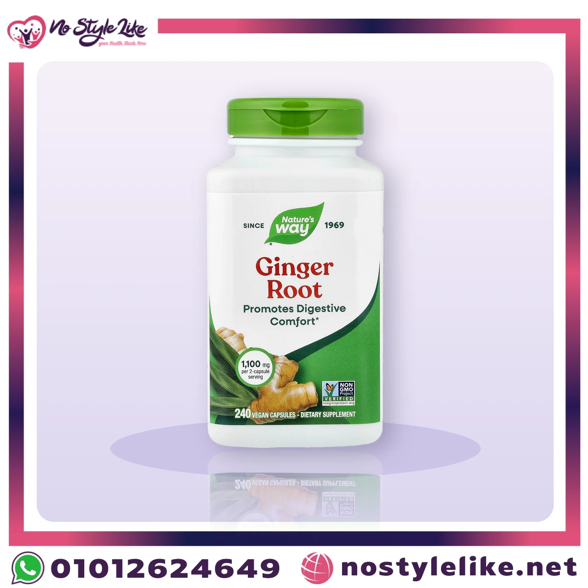 نيتشرز واي جذر الزنجبيل Nature's Way Ginger Root 1100 مجم 240 كبسولة نباتية